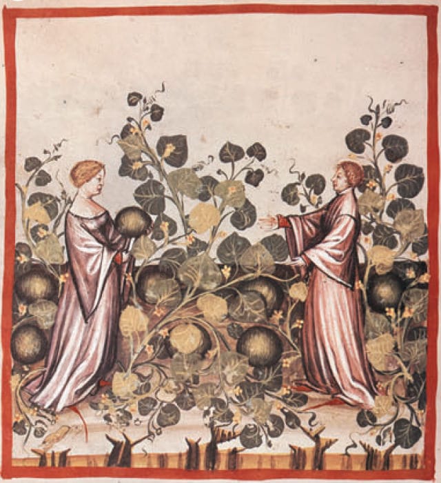 The Disappearing Watermelons of Europe