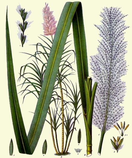 Vous voulez économiser 320 milliards d'euros par an ?