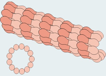 Hommage à un nanotubule…