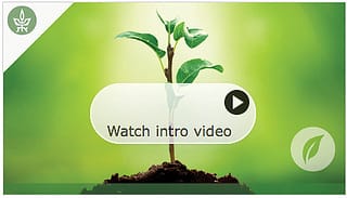 Ce qu'une plante sait - Rapport MOOC