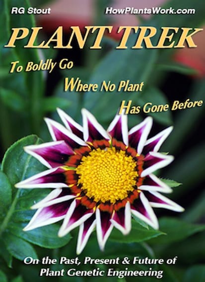 En camino con Plant Trek