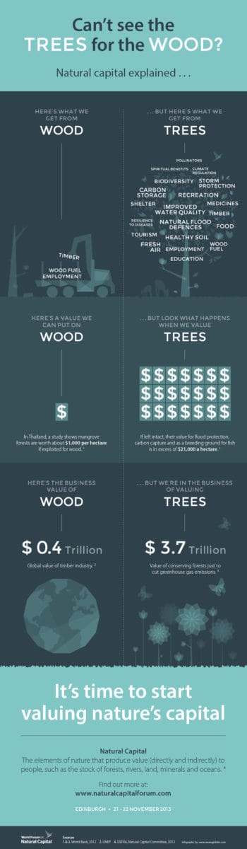 What does a tree cost, and what is its value?