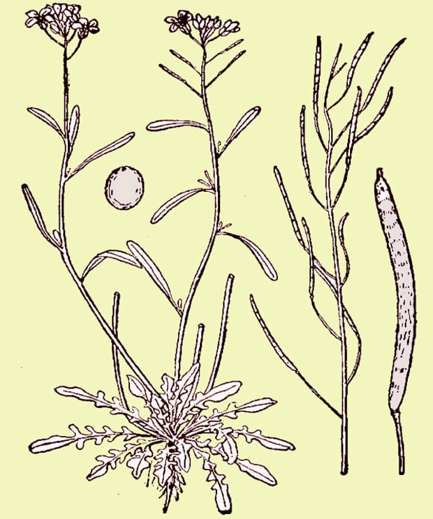 ¡Ay! Eso debe doler…