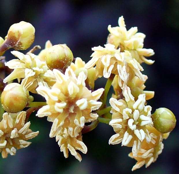 Unique en son genre…