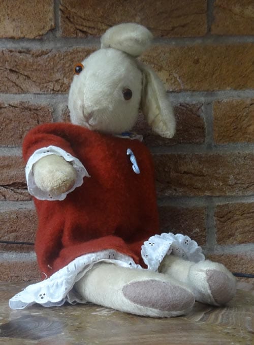 El conejo domesticado amistoso definitivo