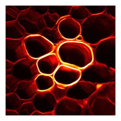 00 image pour le blog 1border