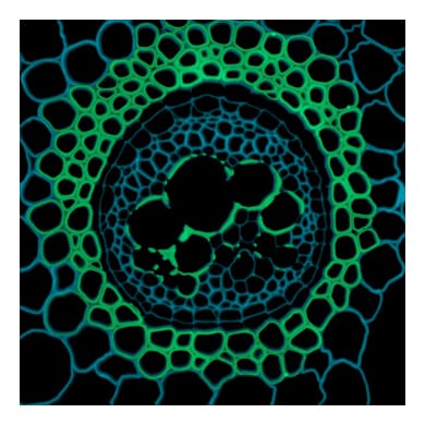 00 image pour le blog 3border