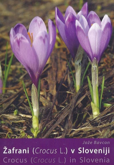 Joze Bavcon Crocus of Slovenia Book Cover