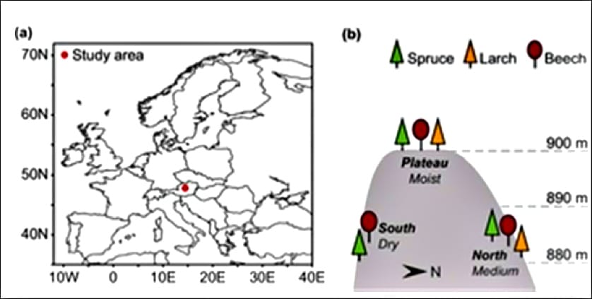 Figura 1 de Hartl-Meier et al. 2014 describiendo los sitios de estudio