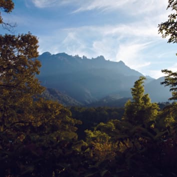 Revisando la escala espacial en la relación productividad-riqueza de especies: cuestiones fundamentales e implicaciones del cambio global