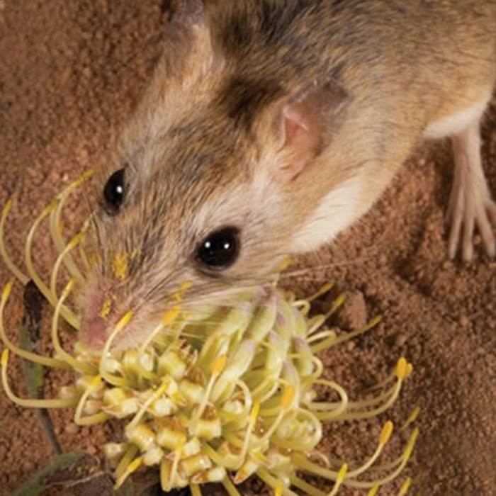 Para una flor, los días con mal cabello son los mejores días
