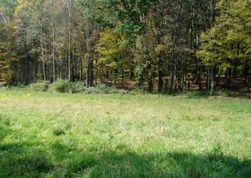 Evidencia de una rápida expansión del rango ecológico en una nueva planta invasora