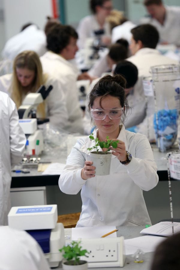 Where have all the Botany degree Schemes gone?