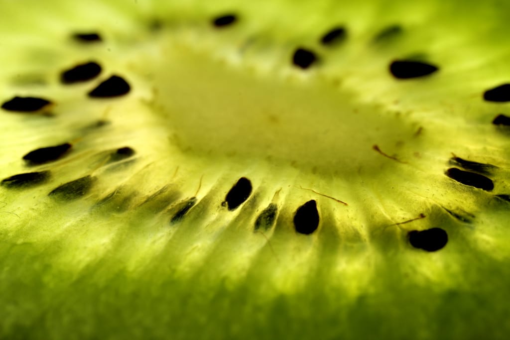 Nitroprusiato de sodio y ozono en la maduración de kiwi