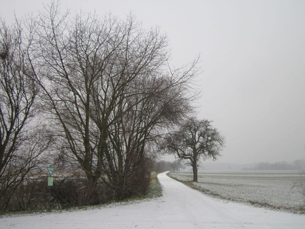 Histoires de 2015&nbsp;: janvier
