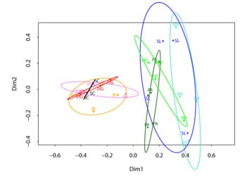 Plant species’ origin mainly discriminates between belowground root-associated fungal communities according to principle coordinate analysis.