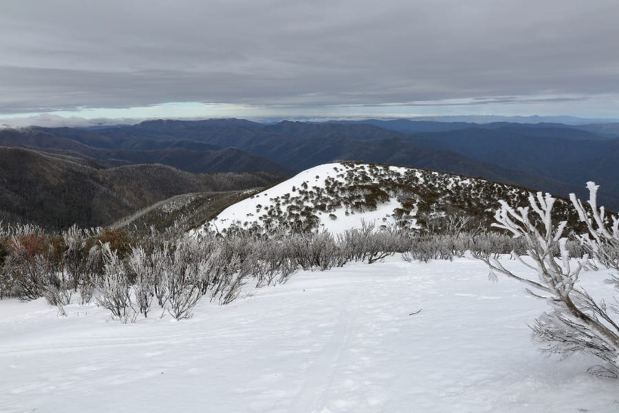 Historias de 2015: agosto