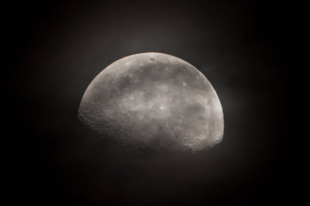 Selene. Photo by Alun Salt.