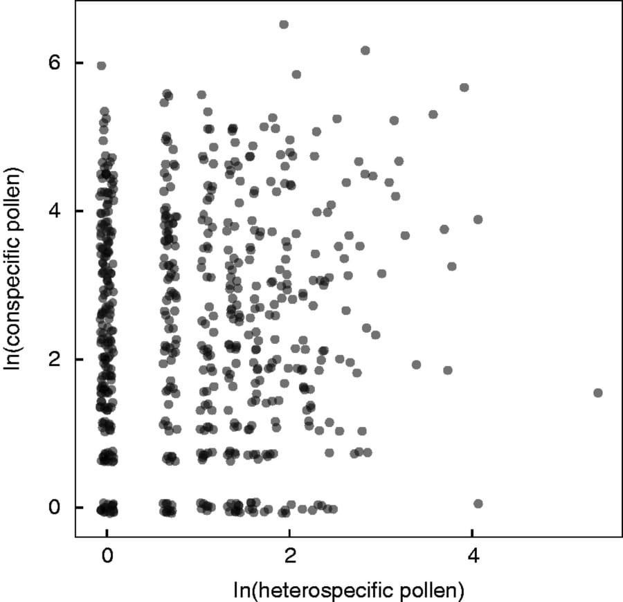 Examining the impact of heterospecific pollen deposition in the field