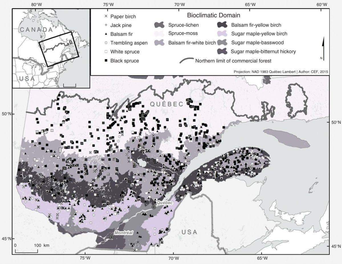 Site locations in a tree growth survey
