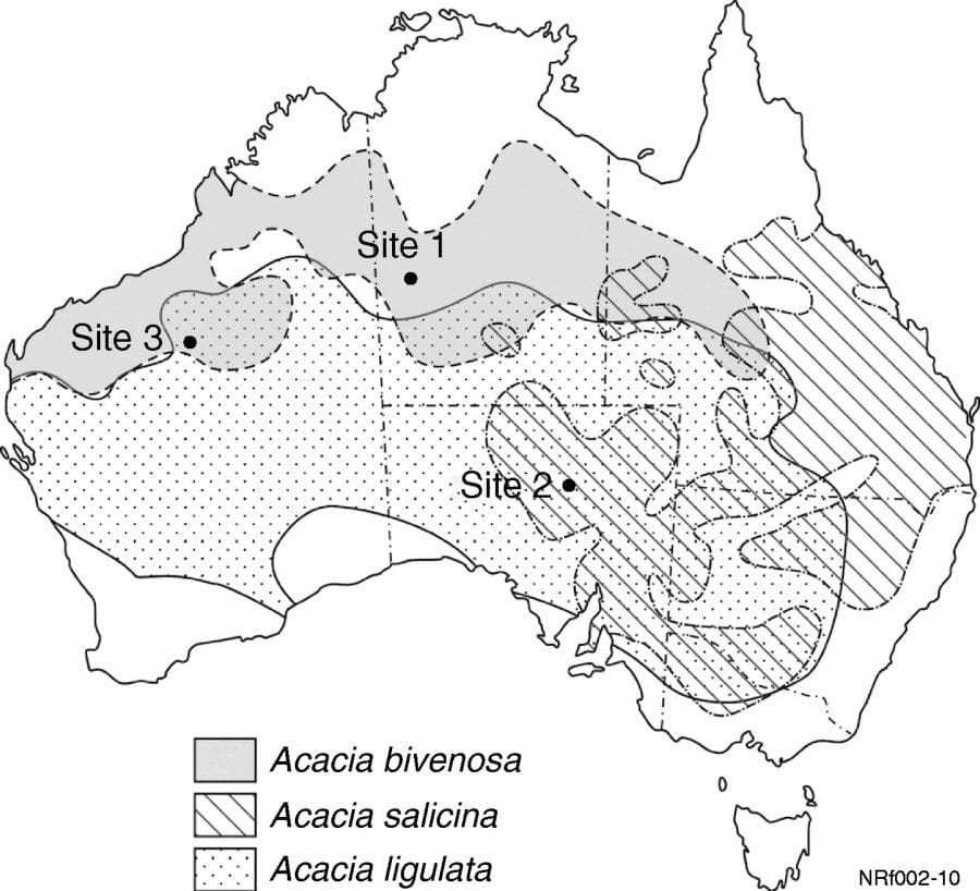 Excessive sulphur accumulation and ionic storage behaviour identified in species of Acacia (Leguminosae: Mimosoideae)