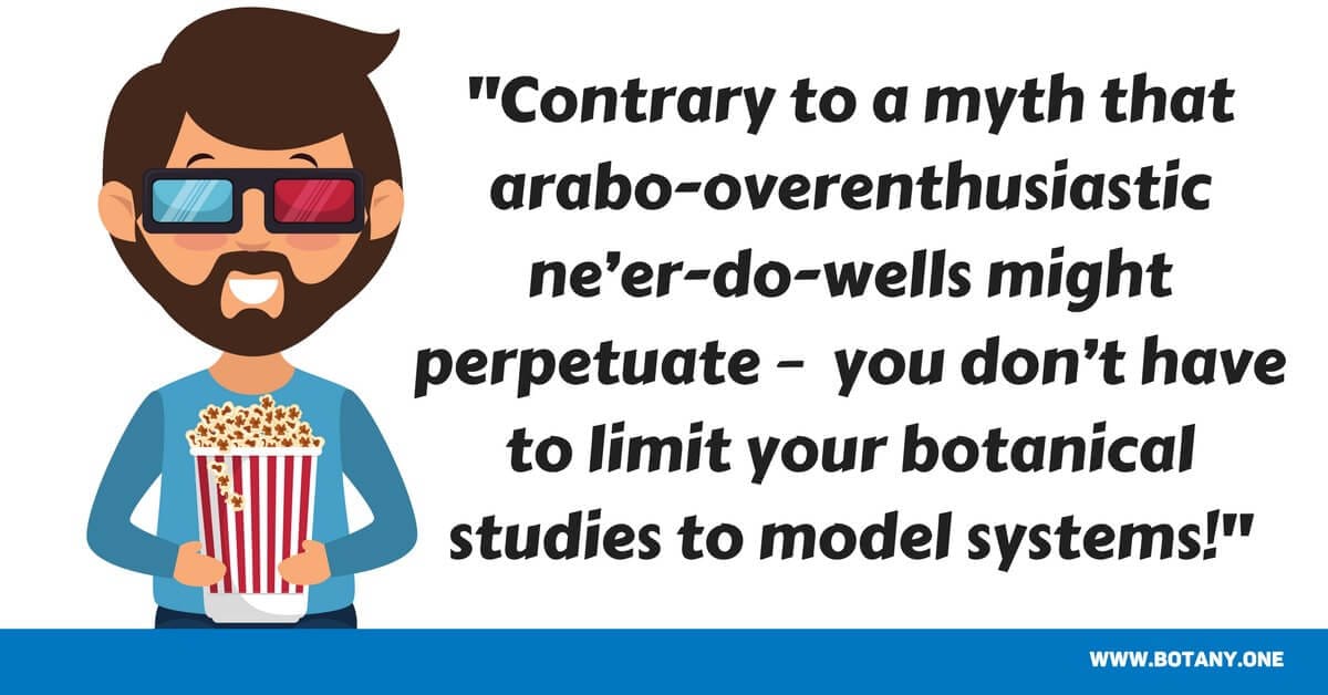 Quelle est la meilleure utilisation [botanique…] pour une imprimante 3D&nbsp;?