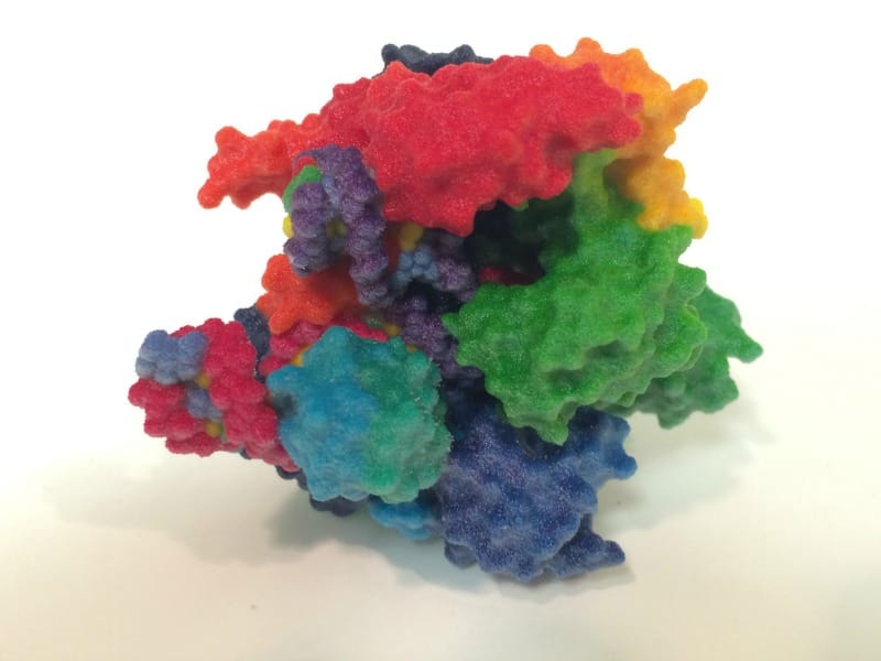 Una verdadera mirada CRISPR a las mutaciones hereditarias