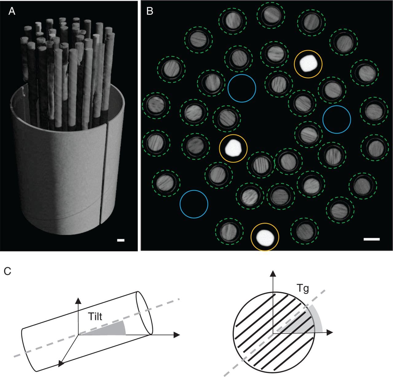 Core business: X-ray CT toolchain for tree-ring analysis