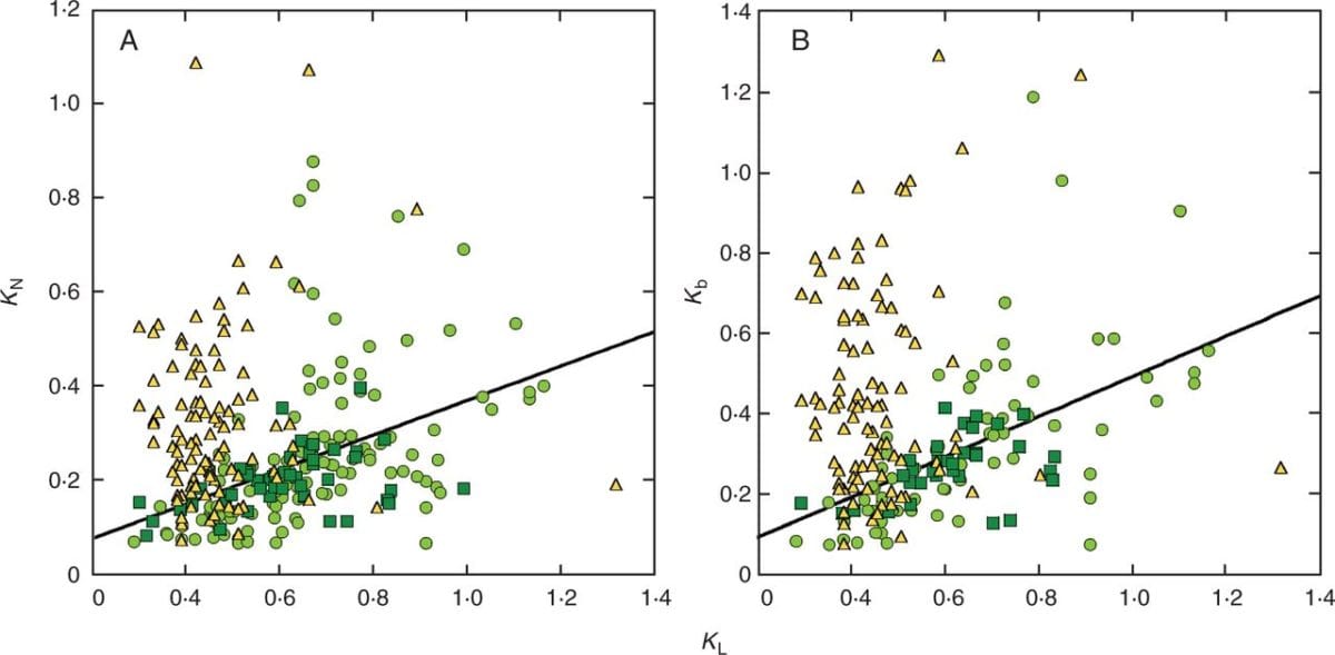 A meta-analysis of leaf nitrogen distribution within plant canopies