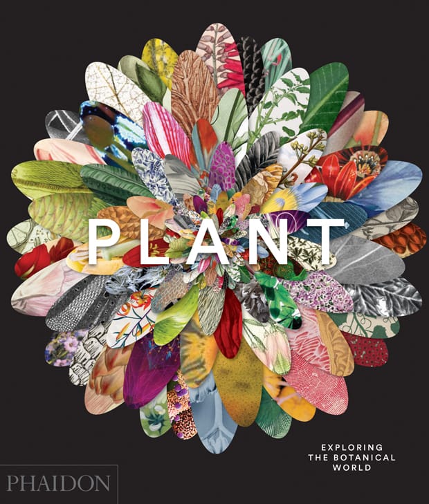 La pléthore de plantes imprimées de Phaidon