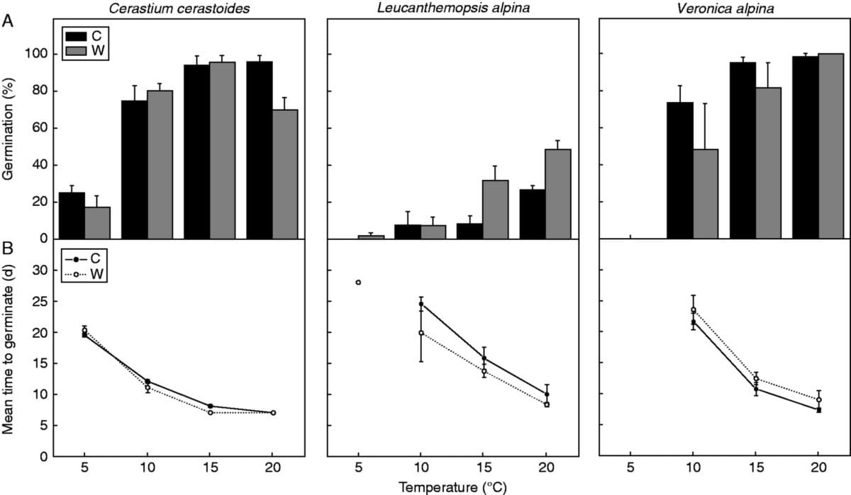 Seed dormancy changes of snowbed species under climate warming