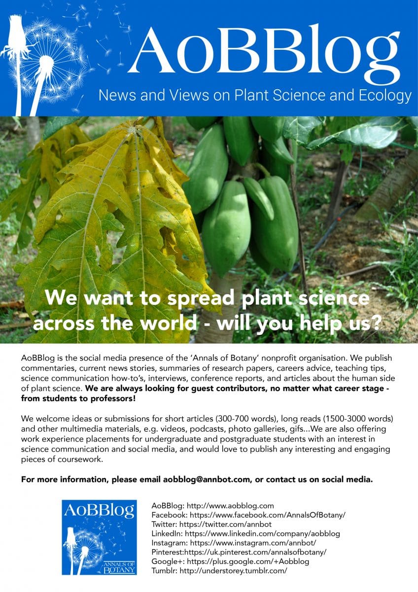 Nuestro nuevo volante viene en seis diseños diferentes. 