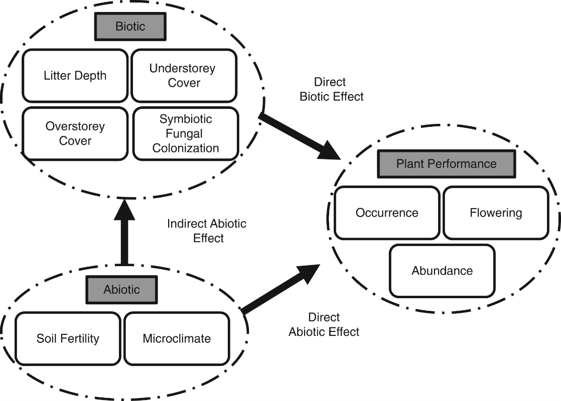 Shading and litter depth mediate the effects of soil fertility on starflower distribution