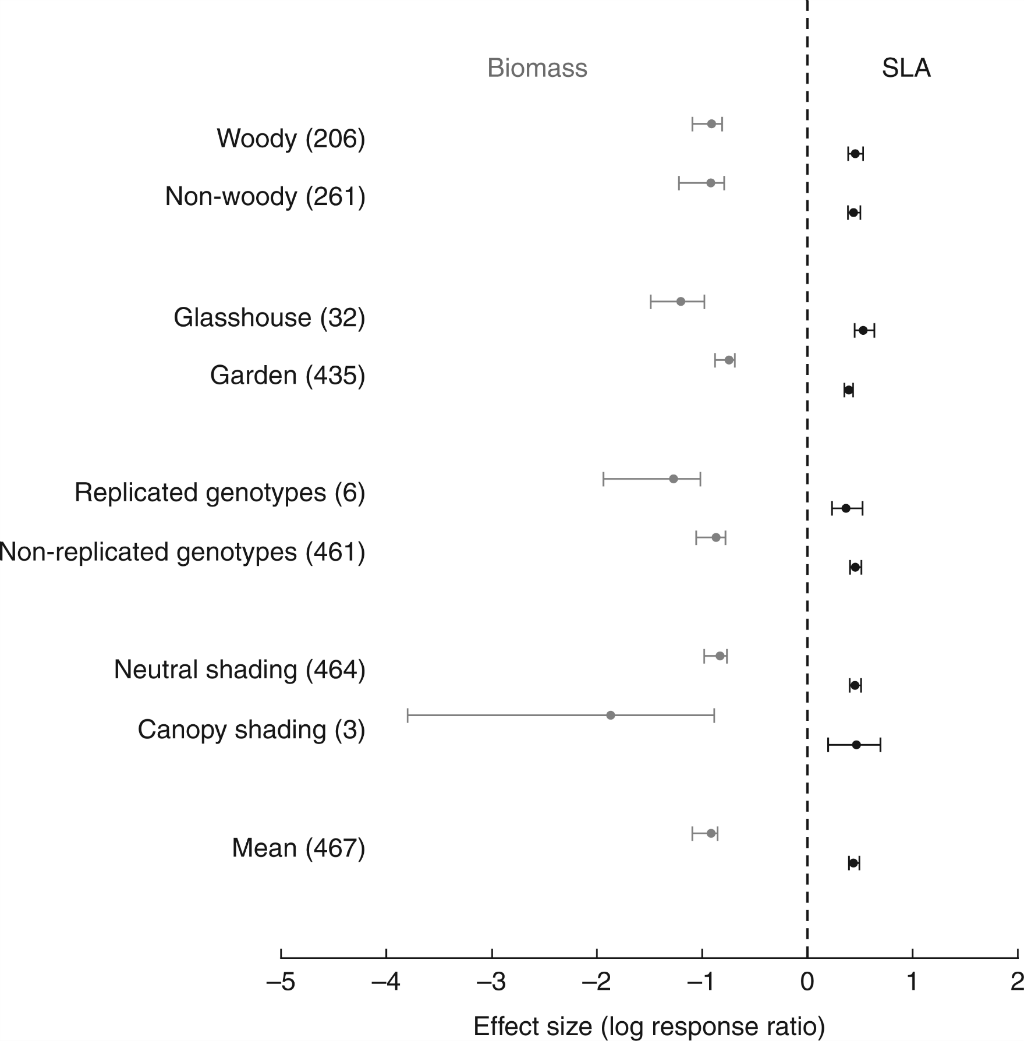 Active or passive? Specific-leaf-area plasticity responses