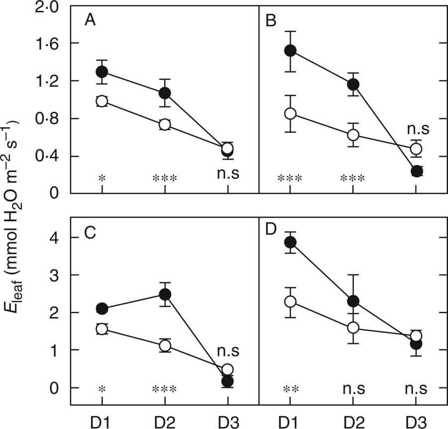 Changes in daily transpiration at the leaf scale in C4 species