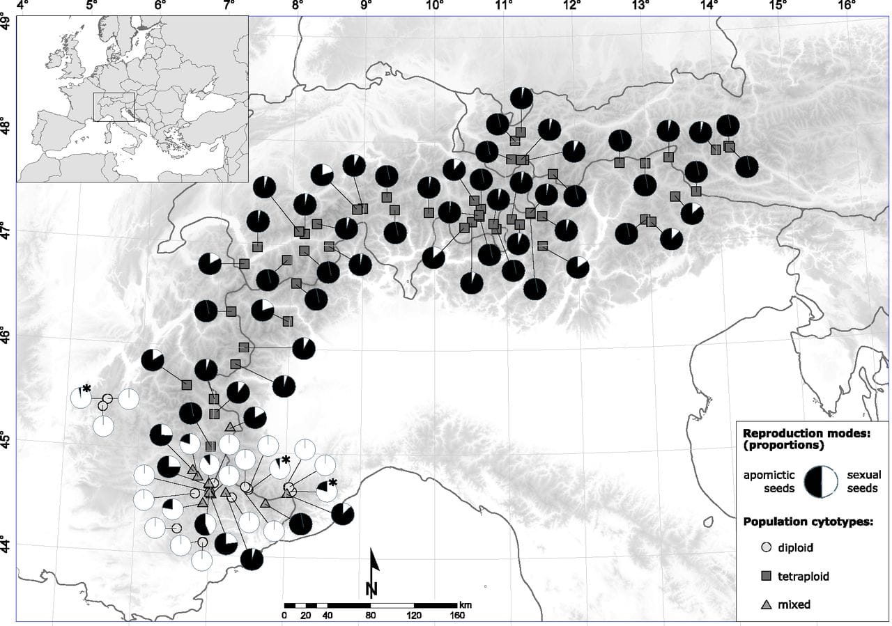 Répartition géographique des modes de reproduction de Ranunculus kuepferi des populations analysées sur une carte des Alpes européennes avec modèle d'élévation. 
