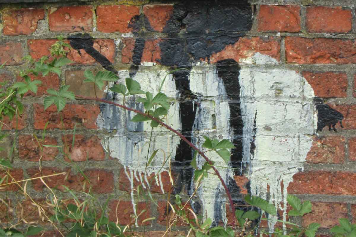 Graffiti Bee