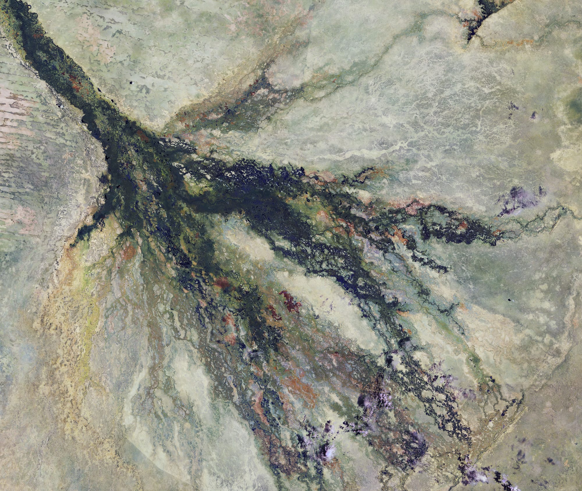 Zones humides du Botswana