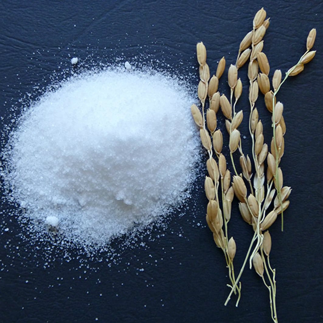 Rice seedling tolerance of salinity and anoxic conditions