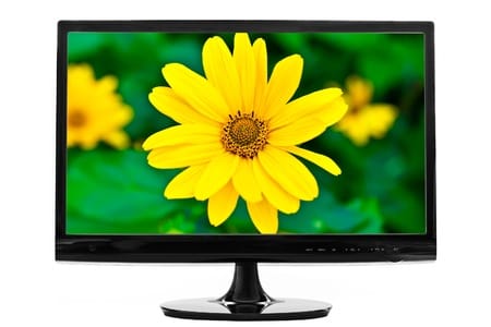 Vídeos recientes sobre botánica