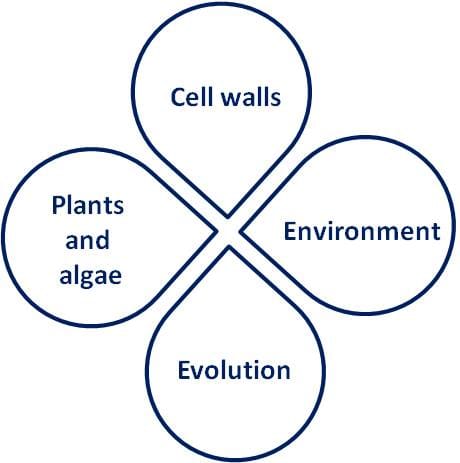 Inspiración de investigación