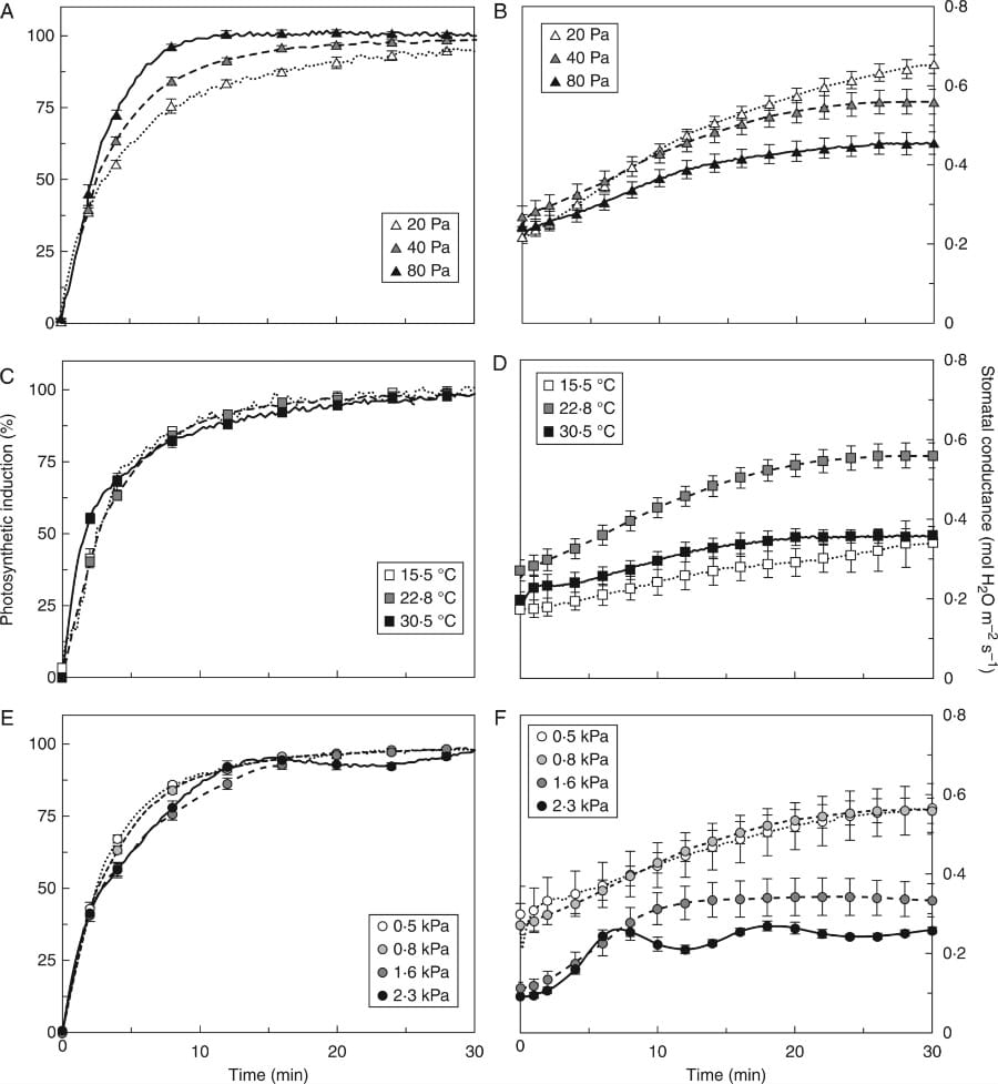 Effets des facteurs environnementaux sur l'induction photosynthétique adaptée à l'obscurité
