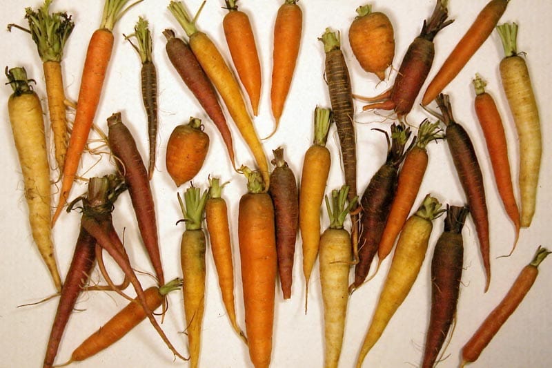 More reasons to like plants