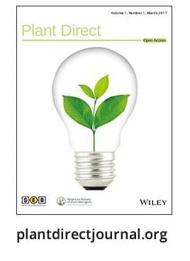 Nuevas revistas PLANT (¡sí!)