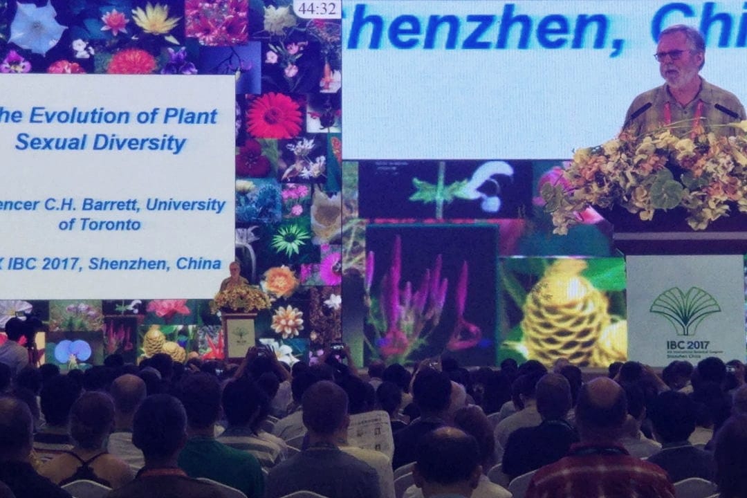 早晨合唱 Mercredi Tweets de Shenzhen #IBC2017