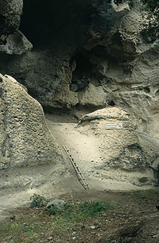 Archaeologists surprised by large maize at El Gigante