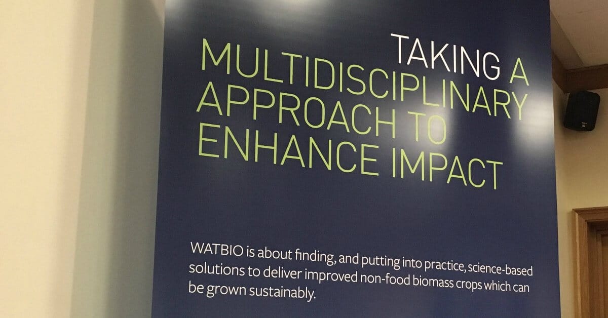 Idéotypes de rendement dans un climat changeant – stress hydrique et au-delà