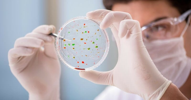 Le magnétisme sexuel en tant qu'infection - Comment Red Dwarf s'est rapproché de la vérité