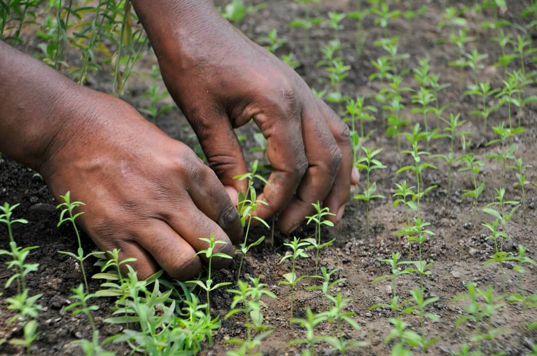 Ciencia, tecnología e innovación para África con el panel de partes interesadas del diálogo político de alto nivel UE-África