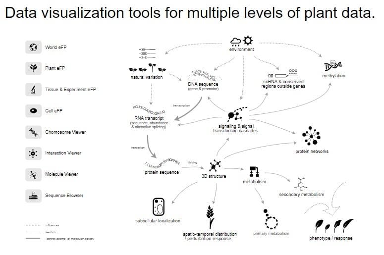 La interfaz gráfica de usuario que le da la bienvenida en la página de inicio de ePlant.